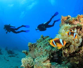 Scuba Diving in Goa